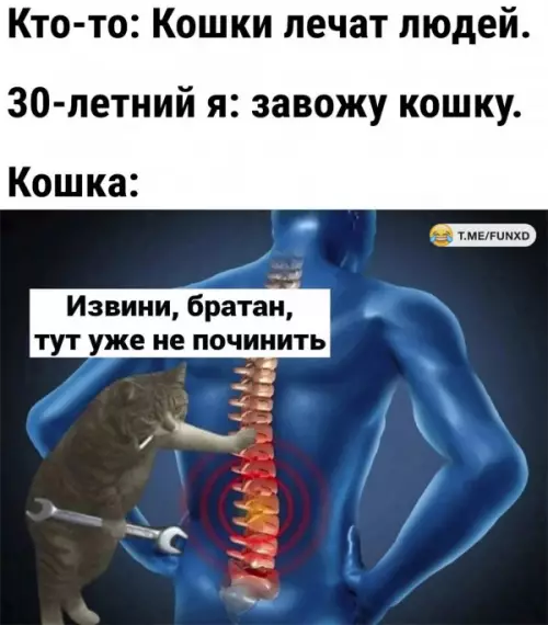 Смешная картинка №657779