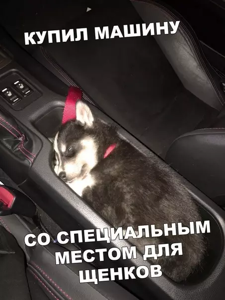 Смешная картинка №400425