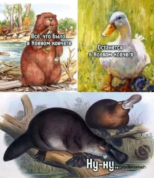Смешная картинка №668650