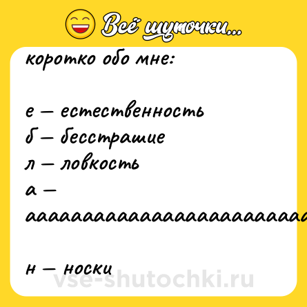 Шутка: коротко обо мне:  <br>  <br>е — естественность  <br>б — бесстрашие  <br>л — ловкость  <br>а — аааааааааааааааааааааааааа  <br>н — носки