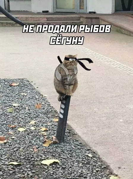 Смешная картинка №595620 Про рыбов