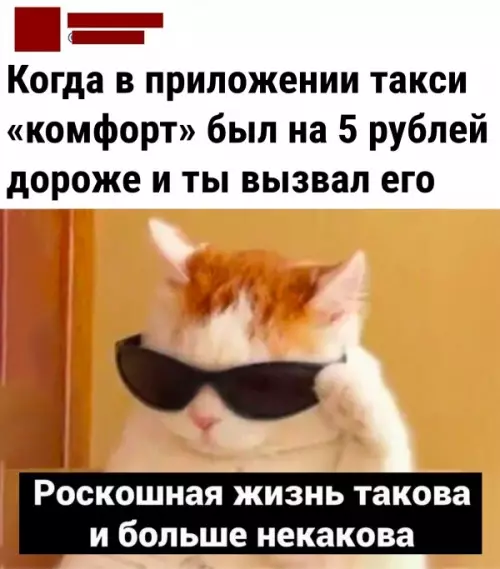 Смешная картинка №646256