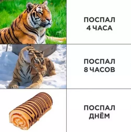 Смешная картинка №684101