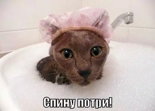 Смешная картинка №256276