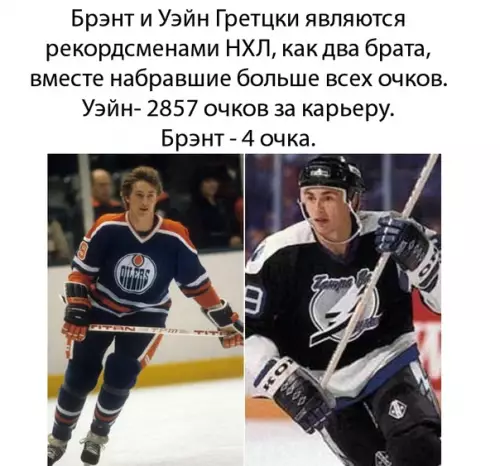 Смешная картинка №313621 Вся суть командной работы