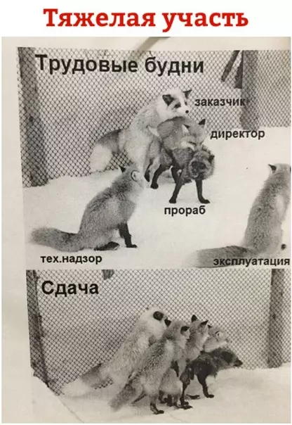 Смешная картинка №415059