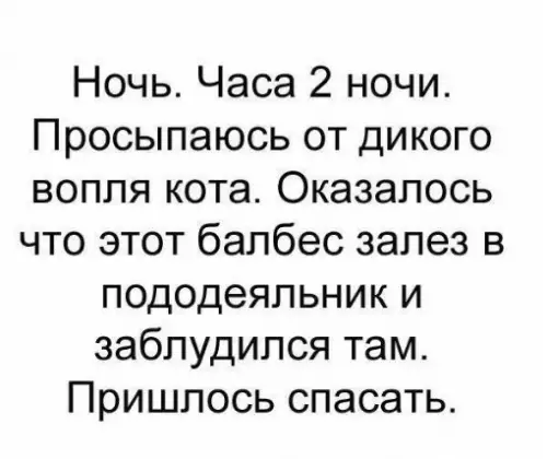 Смешная картинка №213522