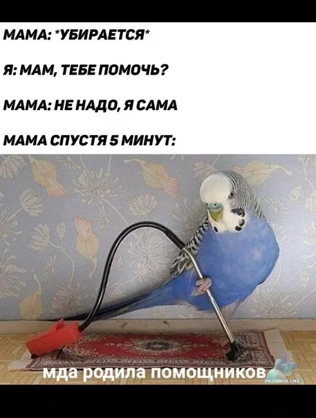 Смешная картинка №357562
