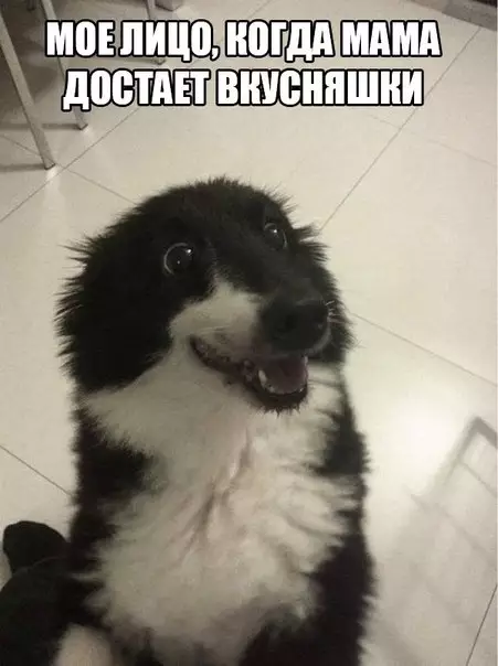 Смешная картинка №259676