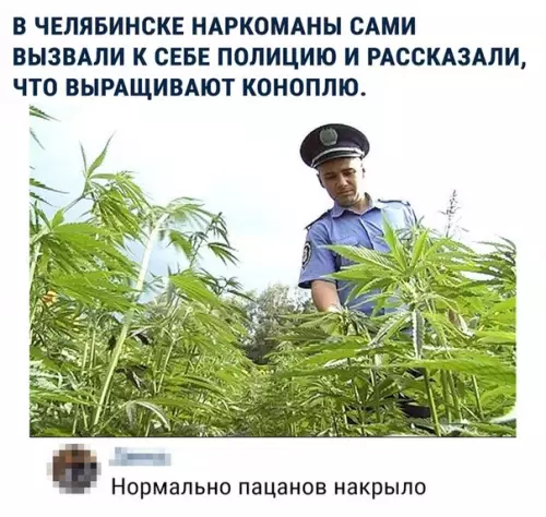 Смешная картинка №315702 наркоманы