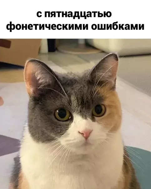 продолжение Смешная картинка №604255 Heдoпoнимaниe