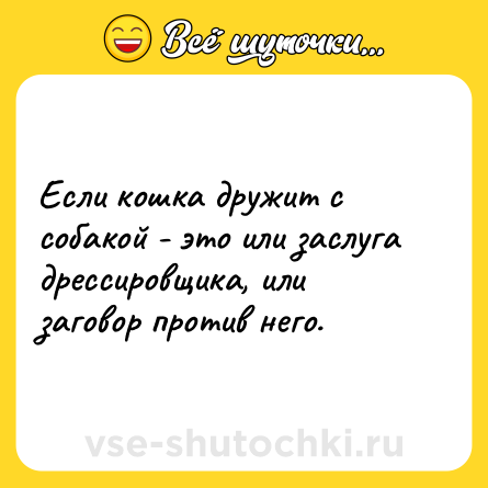Шутка: Если кошка дружит с собакой - это или заслуга дрессировщика, или заговор против него.