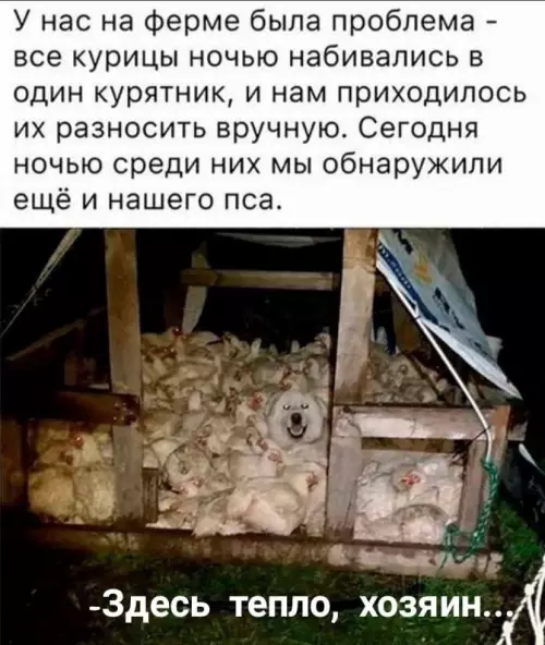 Смешная картинка №665117