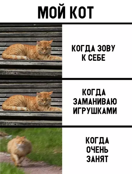 Смешная картинка №317412