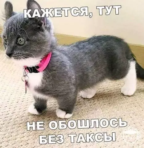 Смешная картинка №387393
