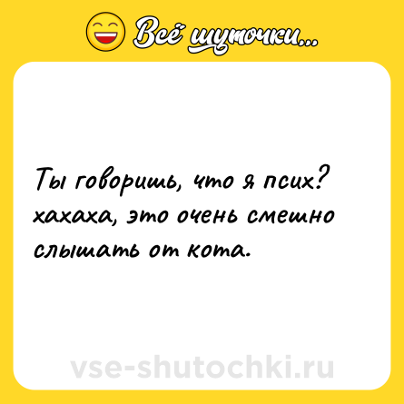 Шутка: Ты говоришь, что я псих? хахаха, это очень смешно слышать от кота.