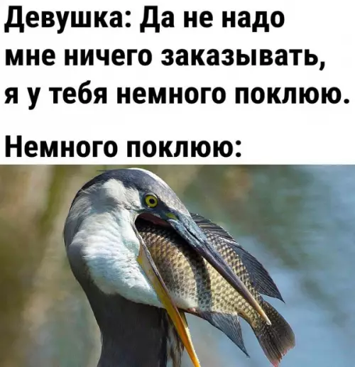 Смешная картинка №651386