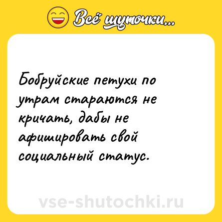 Шутка: Бобруйские петухи по утрам стараются не кричать, дабы не афишировать свой социальный статус.