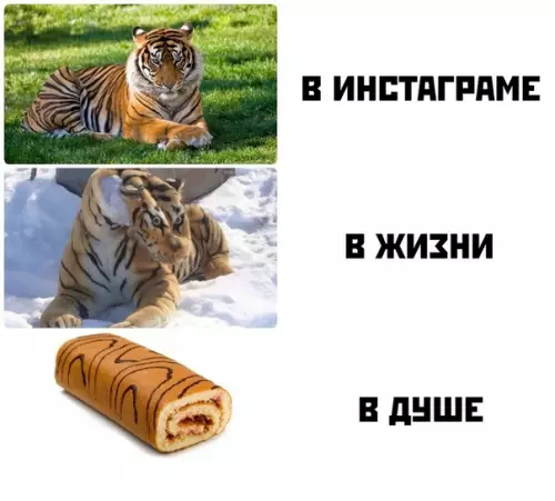 Смешная картинка №444828