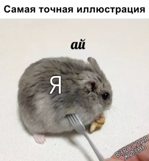 Смешная картинка №325937