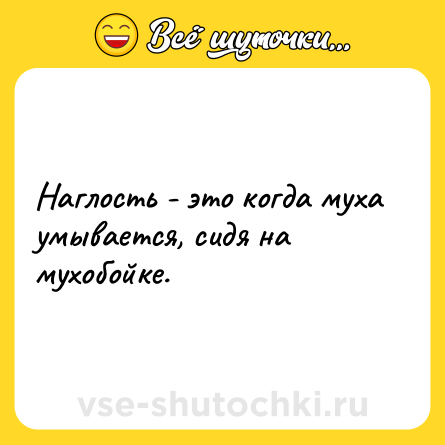 Шутка: Наглость - это когда муха умывается, сидя на мухобойке.