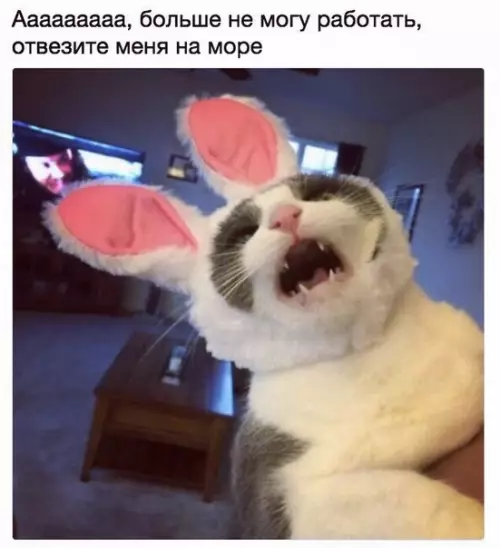 Смешная картинка №341205 Состояние в концe нeдeли: