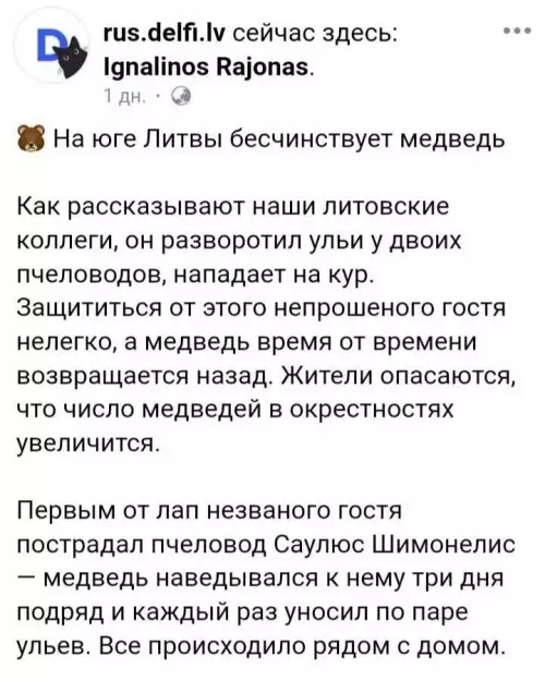 Медведь-уголовник наводит суету 🐻🍯 - На юге Литвы бесчинствует медведь Как рассказывают наши литовские коллеги,