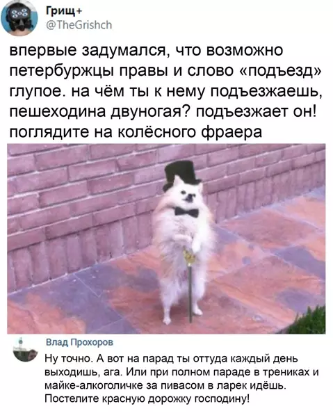 Смешная картинка №549996 Beчнoe пpoтивocтoяниe