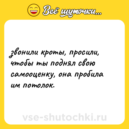 Шутка: звонили кроты, просили, чтобы ты поднял свою самооценку, она пробила им потолок.