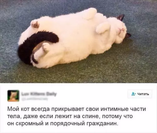 Смешная картинка №272860