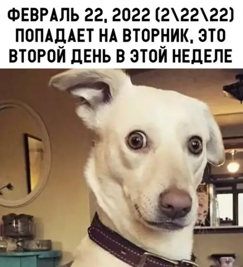Смешная картинка №305582