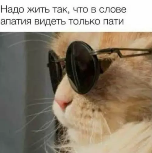 Смешная картинка №719000