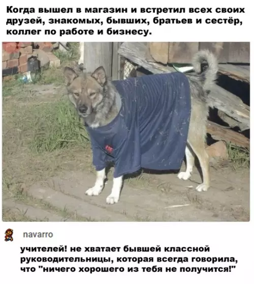 Смешная картинка №502248 Радует, что я не один такой