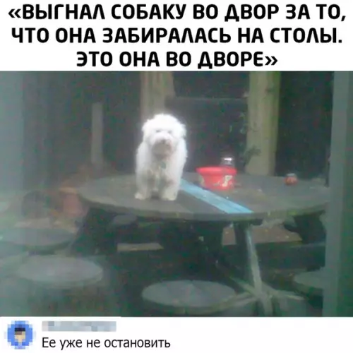 Смешная картинка №472783