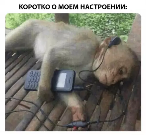 Смешная картинка №285122