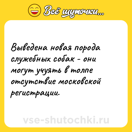 Шутка: Выведена новая порода служебных собак - они могут учуять в толпе отсутствие московской регистрации.