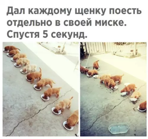 Смешная картинка №287913