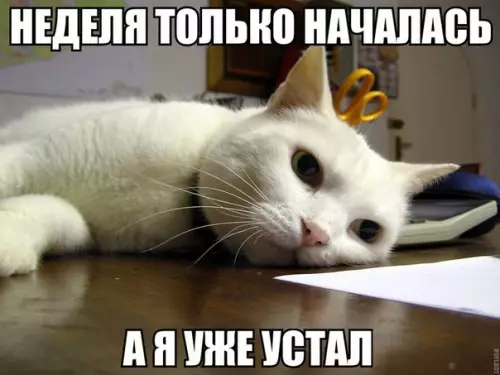 Смешная картинка №225826