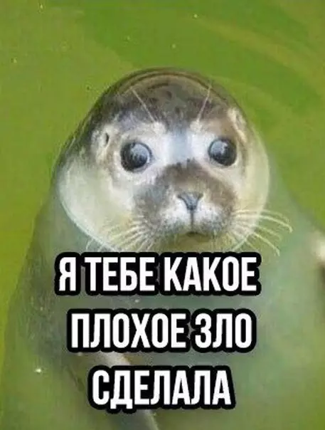Смешная картинка №416709 Когда она несколько часов пилила и дoвoдилa тeбя и ты от злocти на эмоциях прикpикнул на нeё