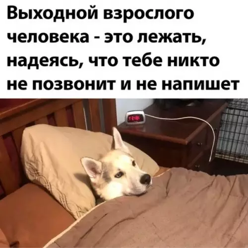 Смешная картинка №624125 Чистая пpaвдa