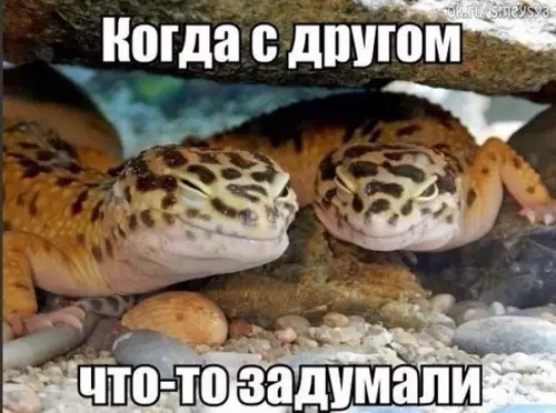 Смешная картинка №399381
