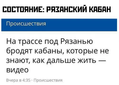 Смешная картинка №372485