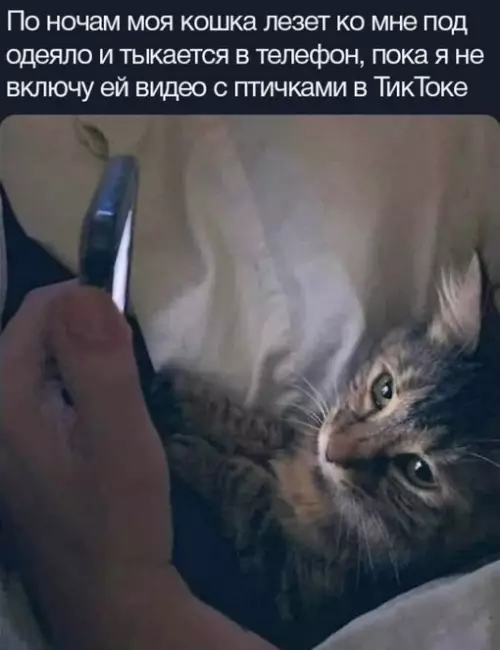 Смешная картинка №717833