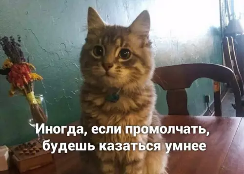 Смешная картинка №498528