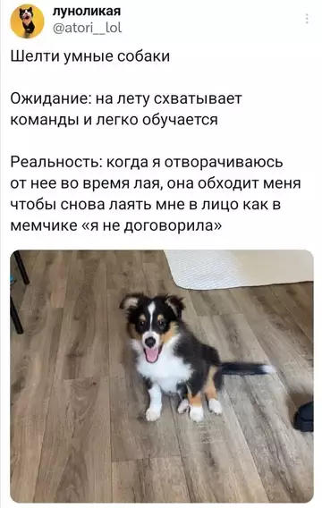 Смешная картинка №766457