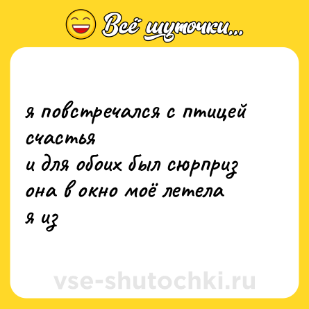 Шутка: я повстречался с птицей счастья<br>и для обоих был сюрприз<br>она в окно моё летела<br>я из
