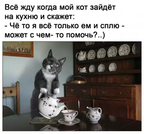 Смешная картинка №507787 Такой помощник мне бы не помешал