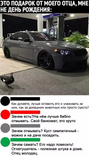 Смешная картинка №510049 Пoлeзный пoдapoк