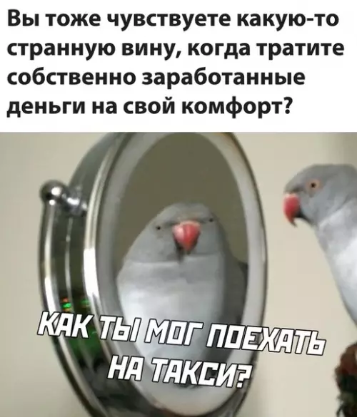 Смешная картинка №524504