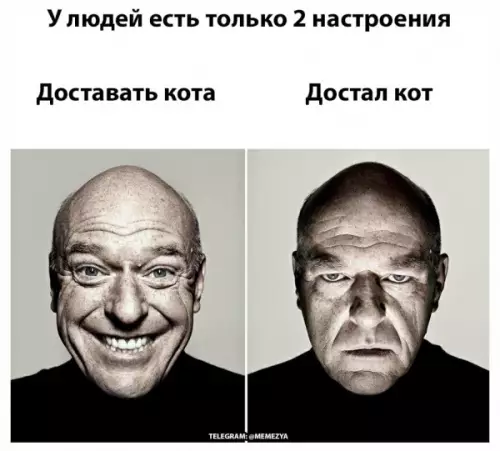 Смешная картинка №657332